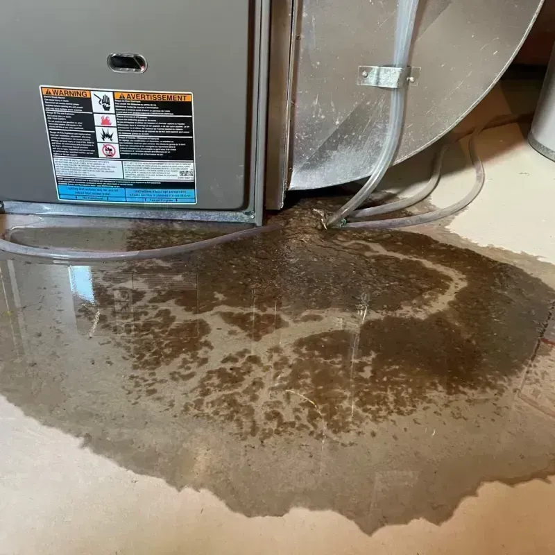 Appliance Leak Cleanup in Norton, KS